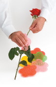 flower stripper
