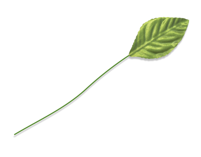 代引き人気 Classic Leaves トップス